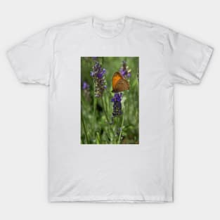 Lavender & Butterfly T-Shirt